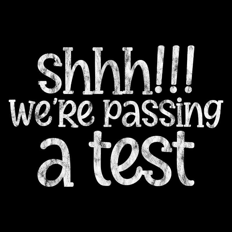 Shhh! We're Passing A Test 3