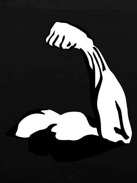Biceps, Muscle