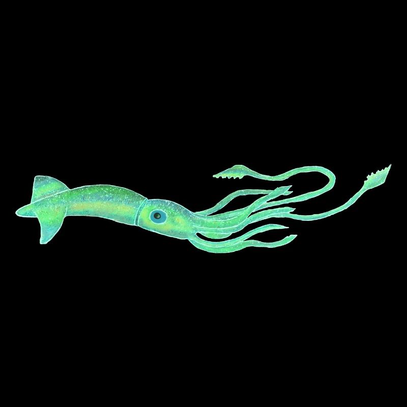 Tintenfisch 🦑 Octopus