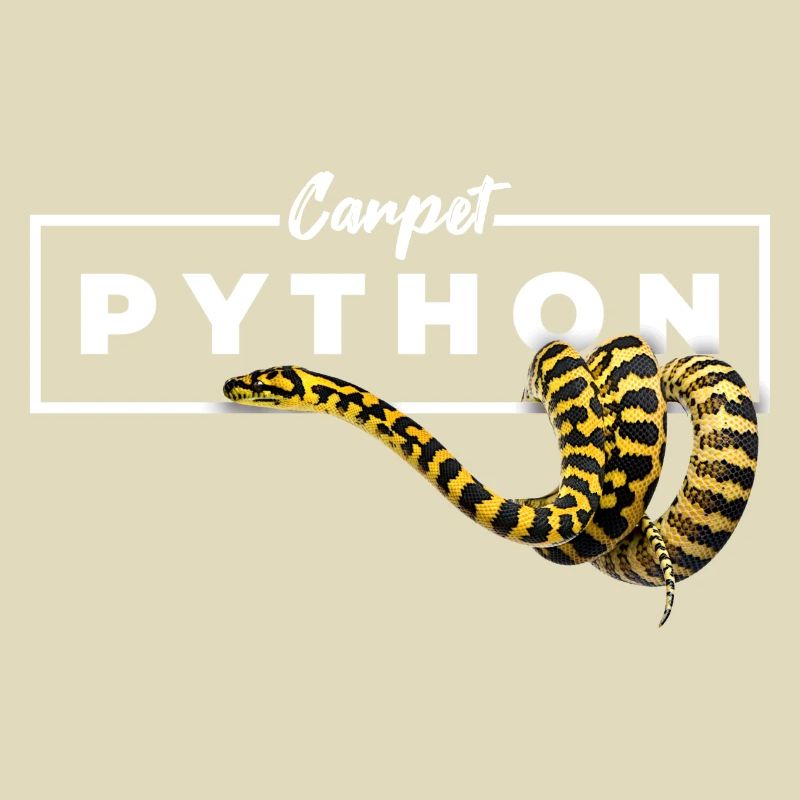 Carpet Python Geometric Reptile Owner