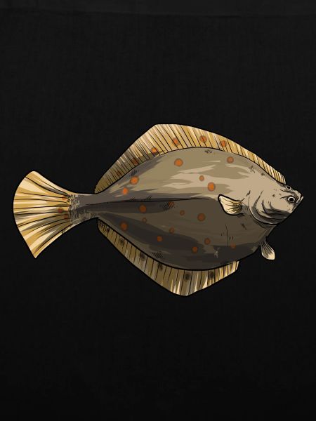 Plaice Halibut