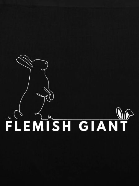 Flämischer Riese