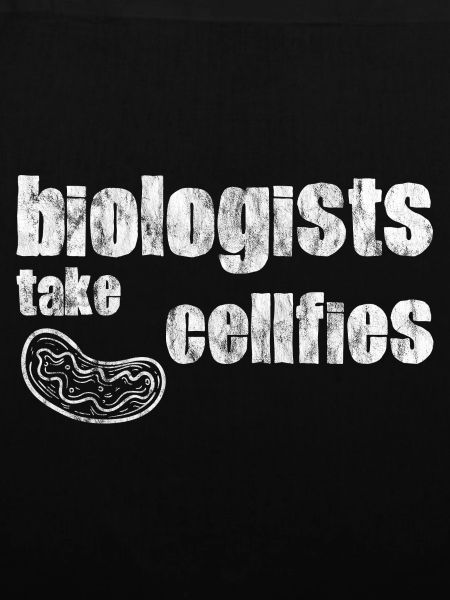 Biologists Take Cellfies 5