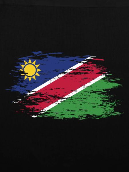 Namibia flag used