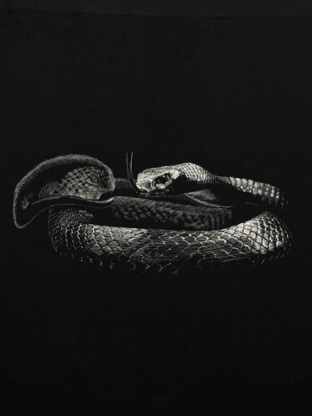 Snake