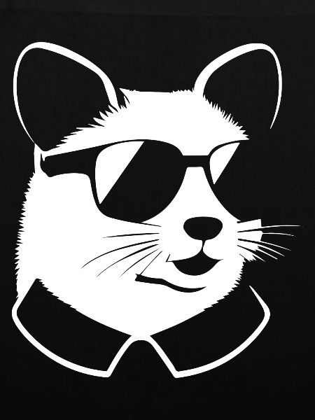 Frettchen mit Sonnenbrille Coole Frettchen