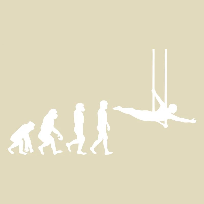 Flying Trapeze Artist Circus Gymnastics Evolution