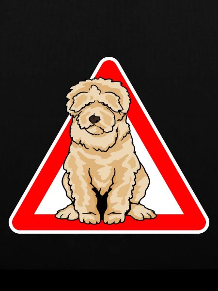 Labradoodle Goldendoodle Doodle Hund