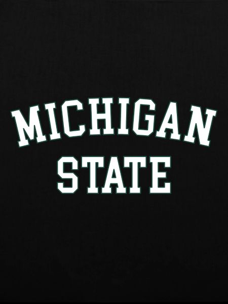 MSU Michigan State University