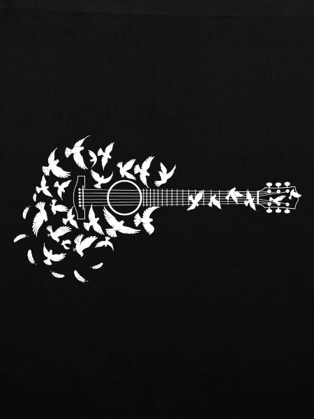 Akustikgitarre von Birds