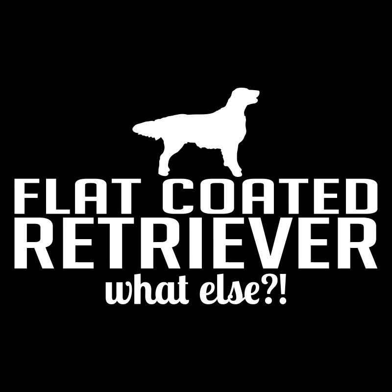 FLAT COATED RETRIEVER what else