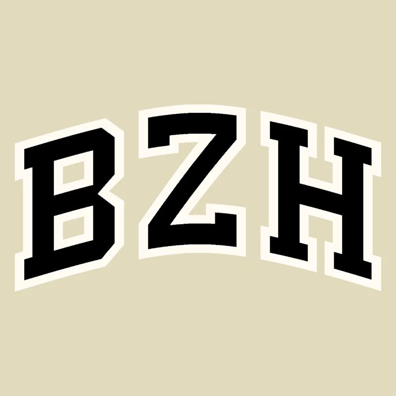 Das BZH