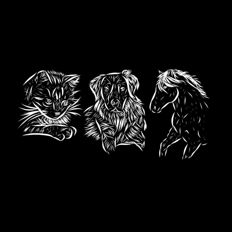 Pferd, Katze und Hund