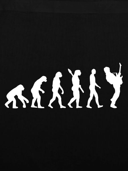 Gitarrist Bassist Evolution