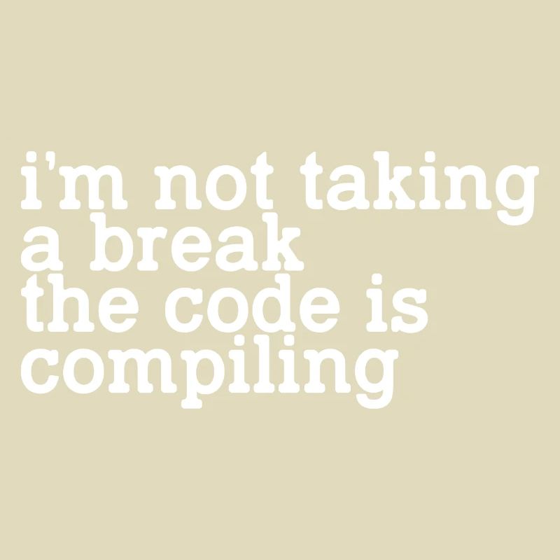 I'm Not Taking A Break, The Code Is Compiling