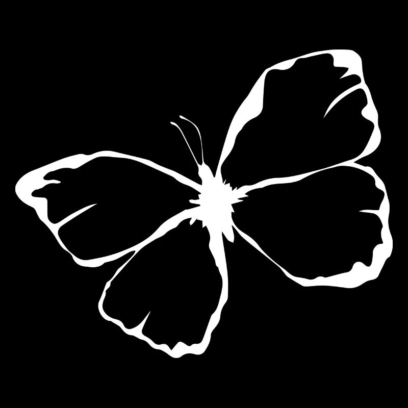 Papillon illustré blanc