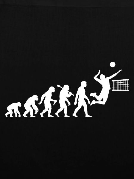 Volleyball Evolution für Vollyeballspieler