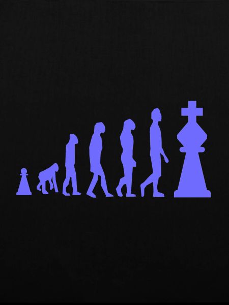 Chess Evolution Chess Funny