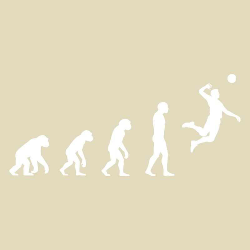 Evolution volleyball