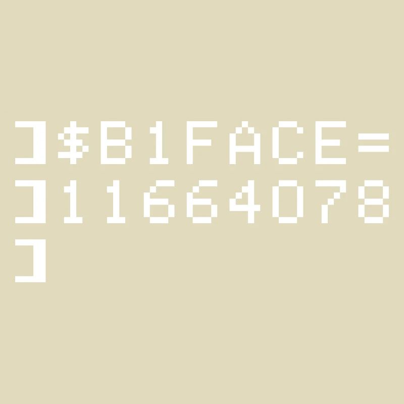 B1FACE Biface Code hexadécimal 8 bits Geek