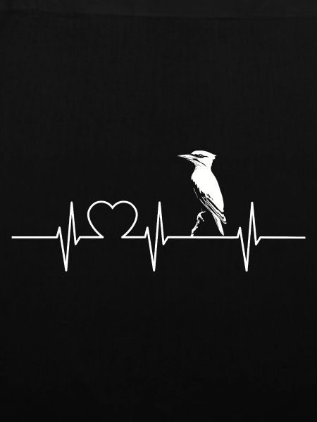 Woodpecker Woodpecker