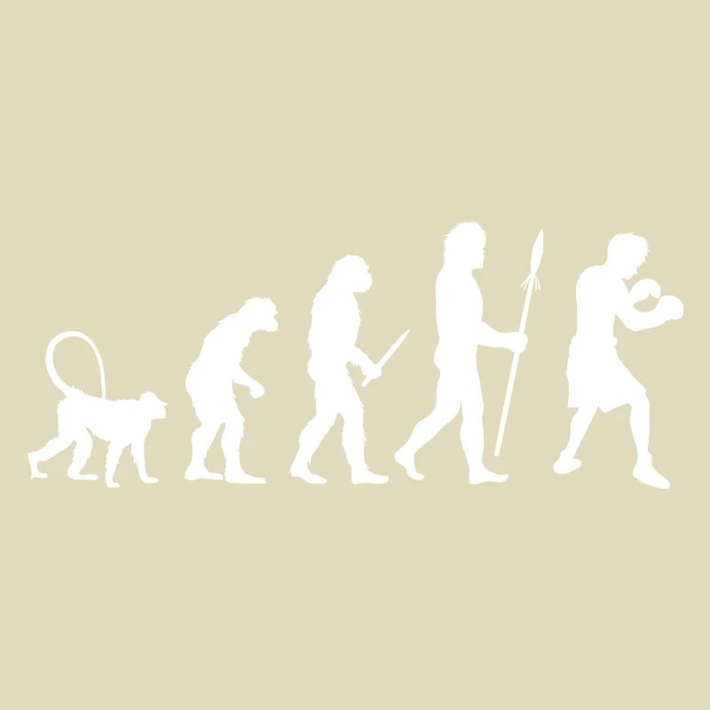 Evolution des Boxens