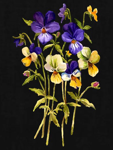 Neffe es Blumen