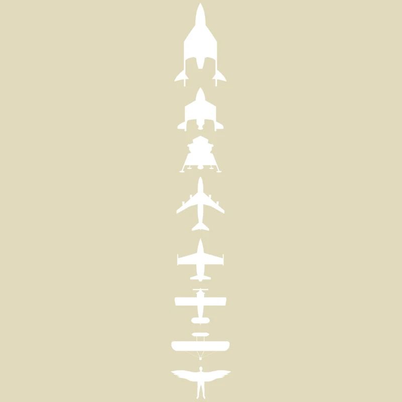 Evolution des Fliegens