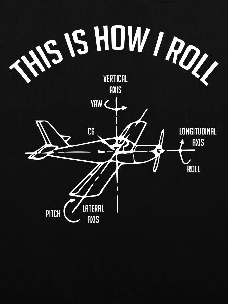 Flugzeugpilot, Luftkapitän, Kapitän