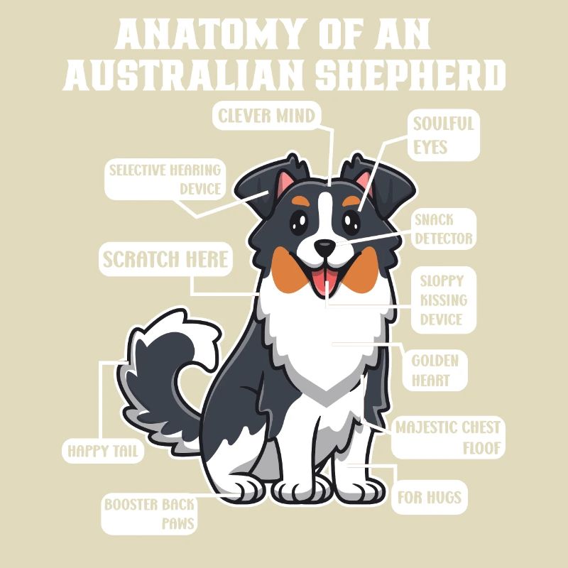 Australian Shepherd Aussie Dad Aussie Mom