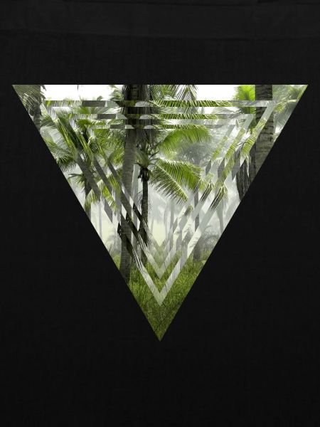 Magic Palm Forest
