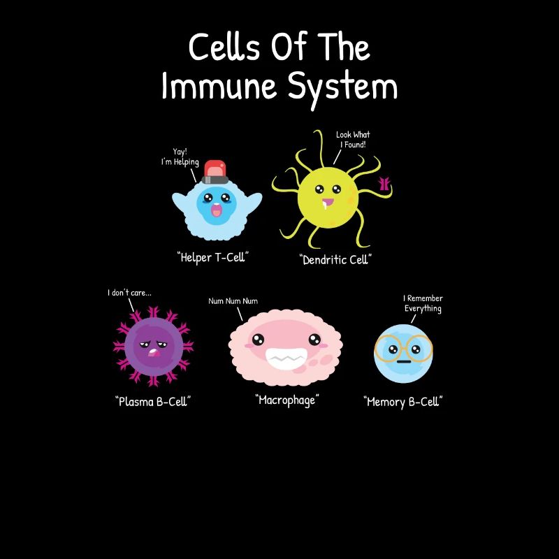 Science Cell Immun System Macrophage Dendritic