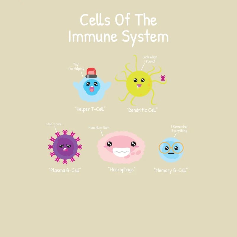Science Cell Immune System Macrophage Dendritic