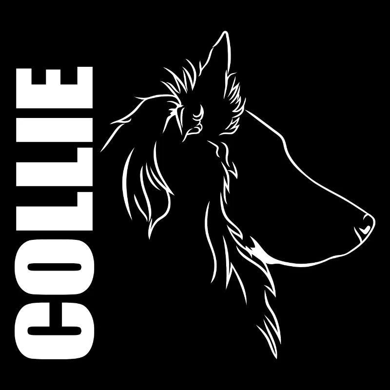 Langhaar Collie Profil Hunde Hund Wilsigns
