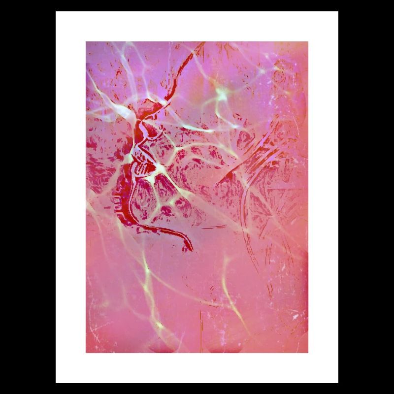 Abstract Pink Reflections
