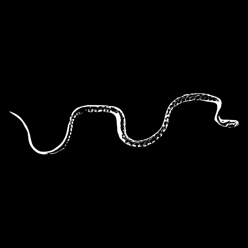 Snake white