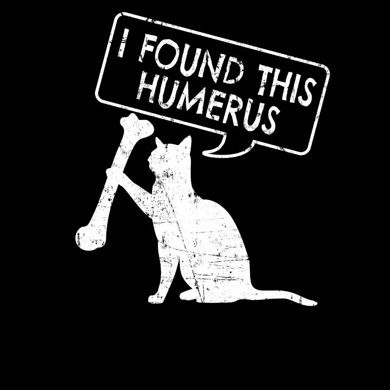 Drôle d’anatomie Chat Humérus
