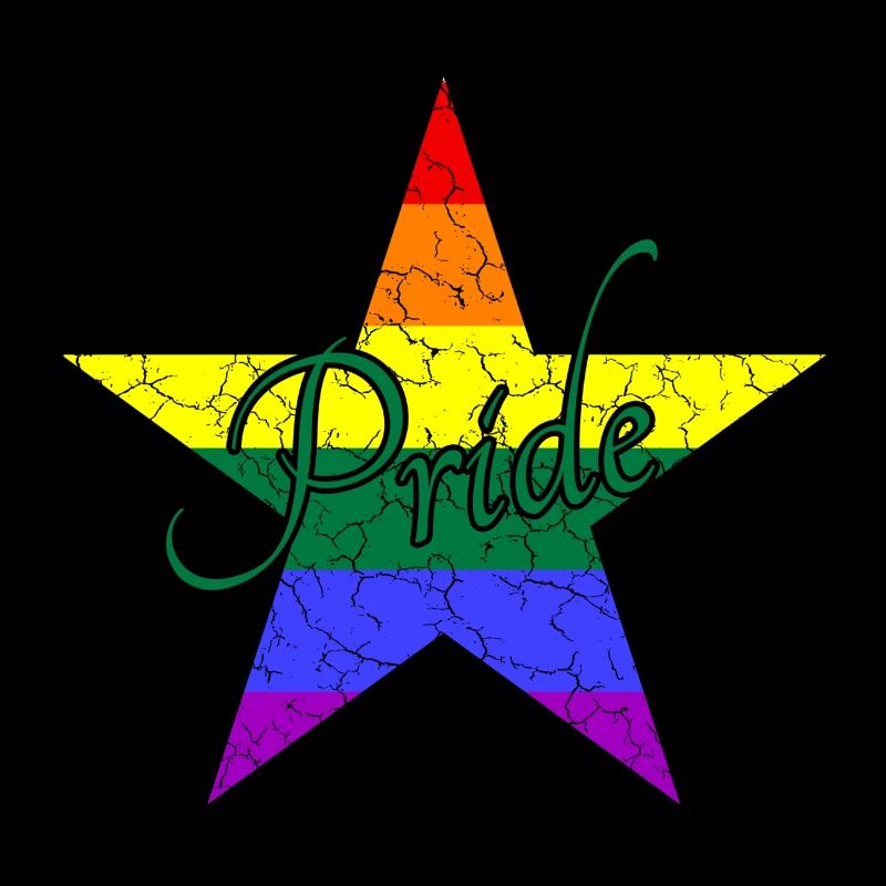LGBTQ Pride Stern