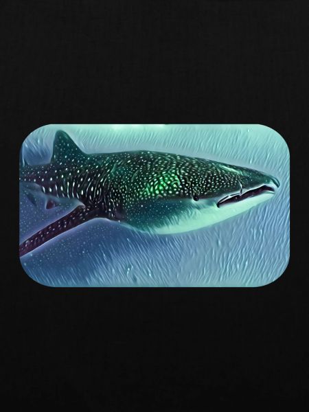 Walhai Whaleshark