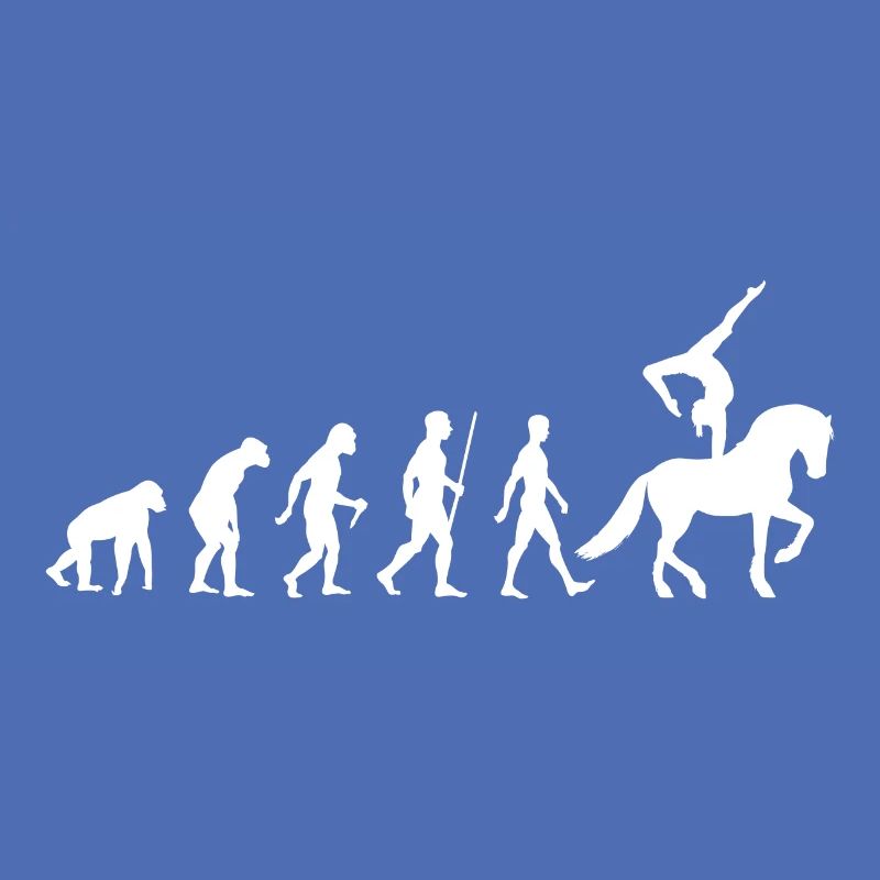 Voltigieren Evolution