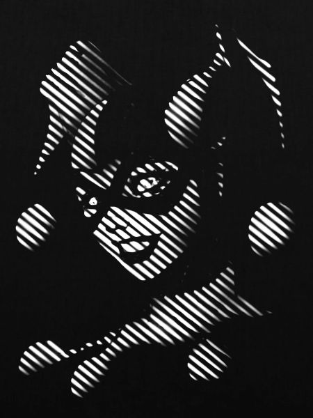 Harley Quinn black & white