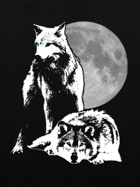 Wolf Wlfe Wolfsrudel Geschenk