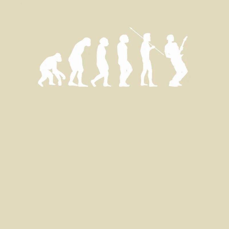 Guitare Guitar evolution Evolution