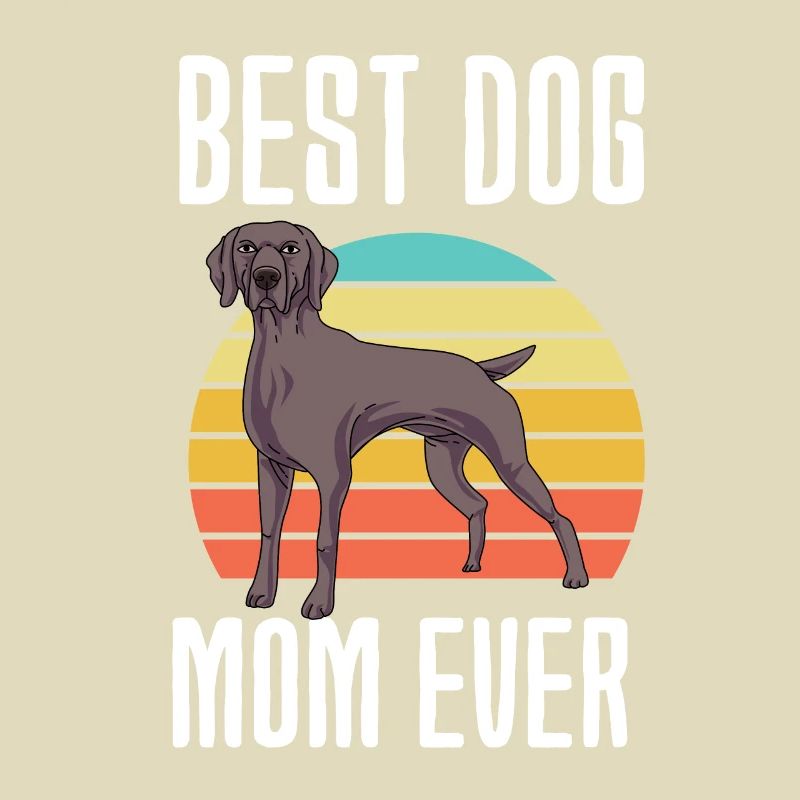 Weimaraner