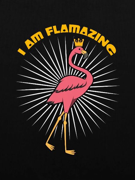 Im Flamazing