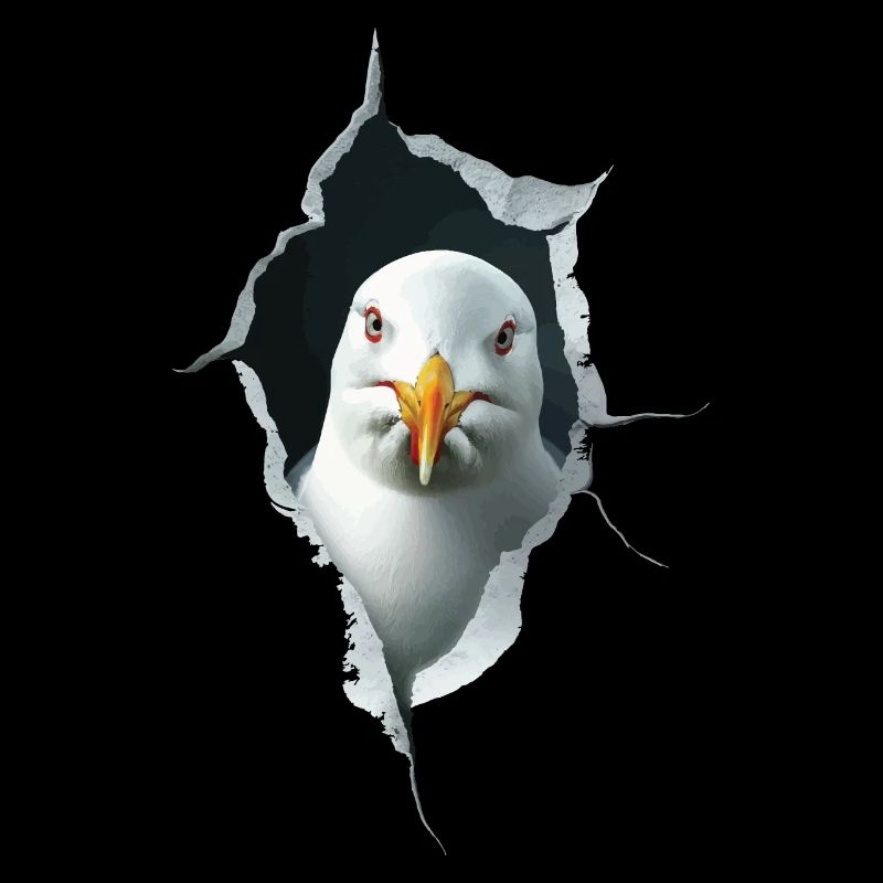 Möwe