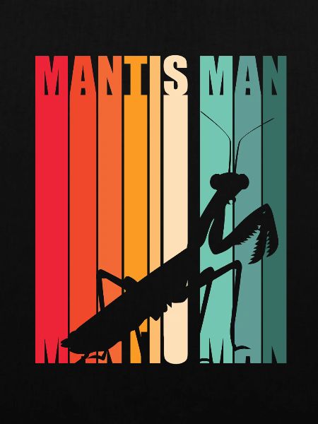 Mantis Gottesanbeter Gottesanbeterin