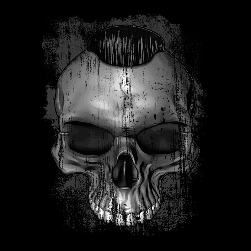 rock'n'roll skull