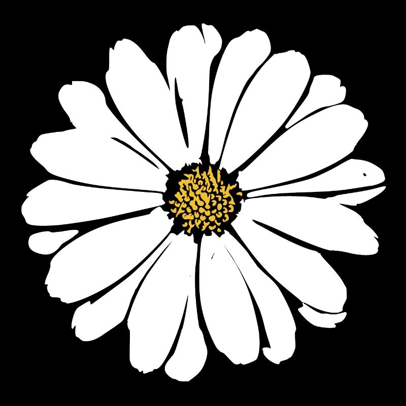 Fleur Fleurs Blanches Fleurs Blanches Été Hippie Idée Cadeau