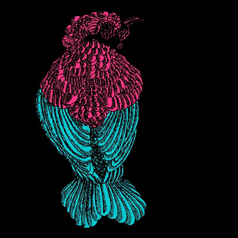 Oiseau coloré
